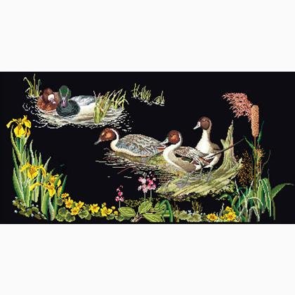 Ducks - Negro