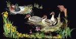 Ducks - Negro