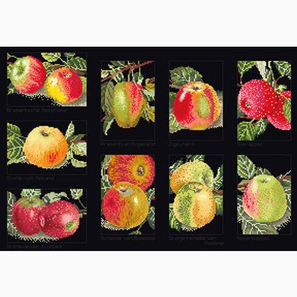 Apples - Negro
