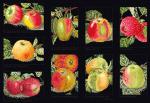 Apples - Negro