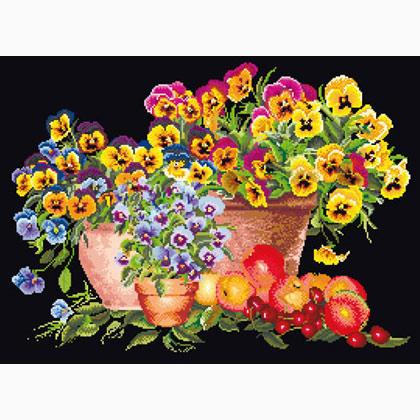Pansies - Negro