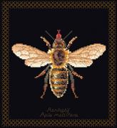Honey Bee - Negro
