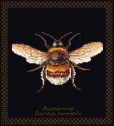 Bumble Bee - Negro