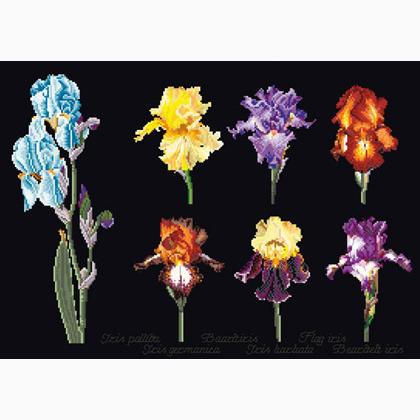 Iris Panel - Negro