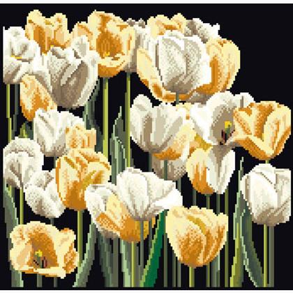 Tulips - Negro