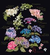 Hydrangea Panel - Negro