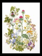 Herb Panel - Aida