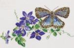 Clematis - Aida