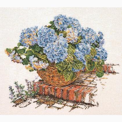 Hydrangea Azul II - Aida