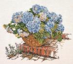 Hydrangea Azul II - Aida