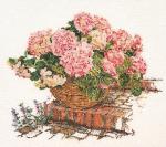 Hydrangea rosa II - Aida