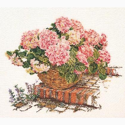 Hydrangea rosa II - Aida