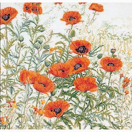 Orange Poppies - blanco - Aida