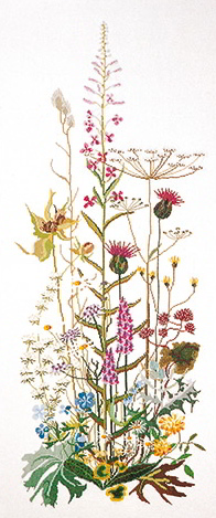 Flores silvestres - Aida
