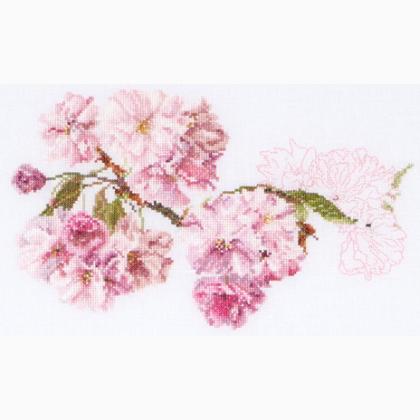 Blossom - Aida
