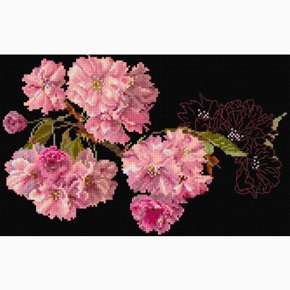Blossom - Negro
