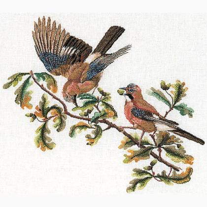 Jays