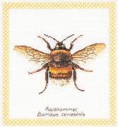 Bumble Bee - Aida