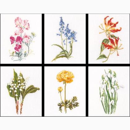 Six Floral Studies II