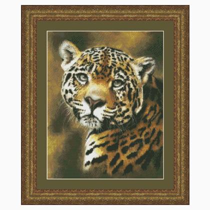 Jaguar Portrait