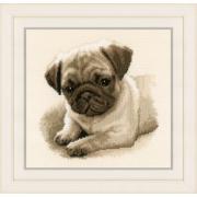 Pug Dog