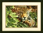 Leopard in Repose