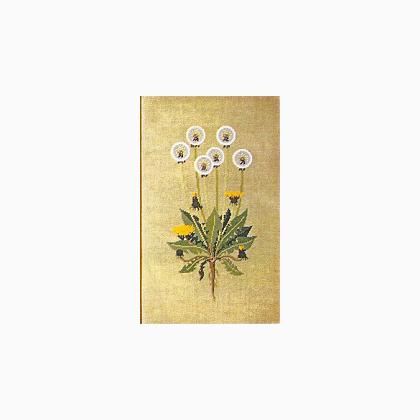 Dandelion II