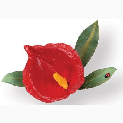 Sizzix Thinlits Die Set 5PK - Flor, Anthurium