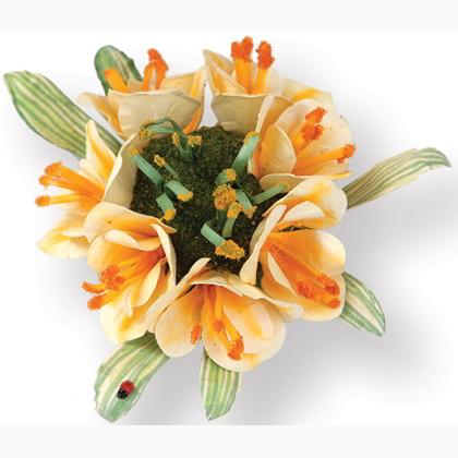 Sizzix Thinlits Die Set 5PK - Flor, Clivia