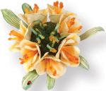 Sizzix Thinlits Die Set 5PK - Flor, Clivia