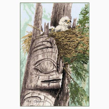 Eagle Chicks