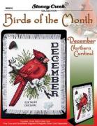 Bird Of The Month-December (Northern Cardinal)