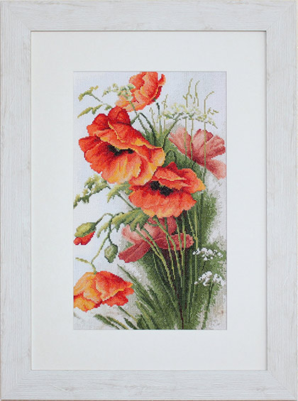 Red Poppies