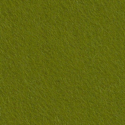 Fieltro Lichen