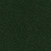 Fieltro Vert Bouteille