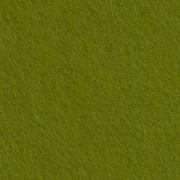 Fieltro Lichen