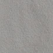Fieltro Souris