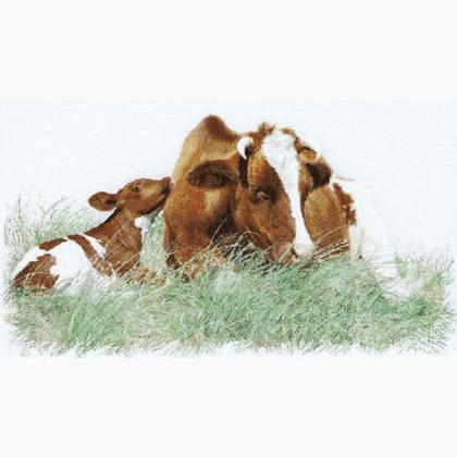 Red Cow