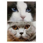 Smokey & Blu
