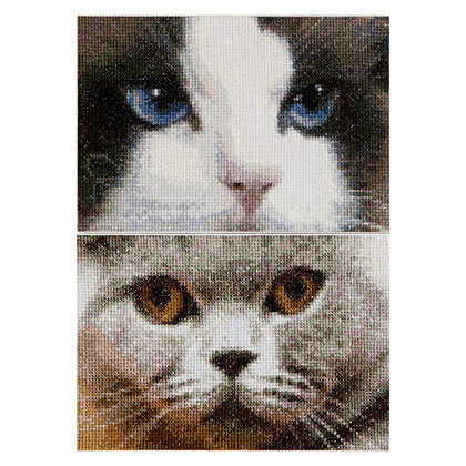 Smokey & Blu