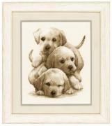 Cachorros de Labrador