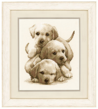 Cachorros de Labrador