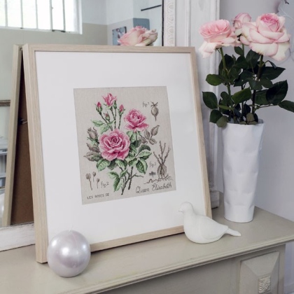 Etude à la rose «Queen Elisabeth» - Lino