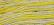 WDW 2216 Citron