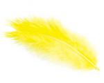 Plumas - Amarillo