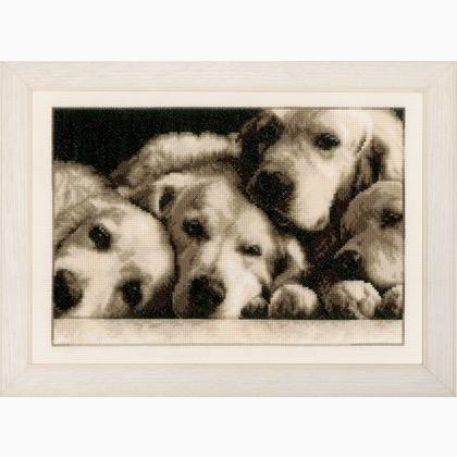 Cuatro Golden Retriever cansado