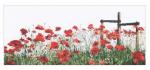 Poppies