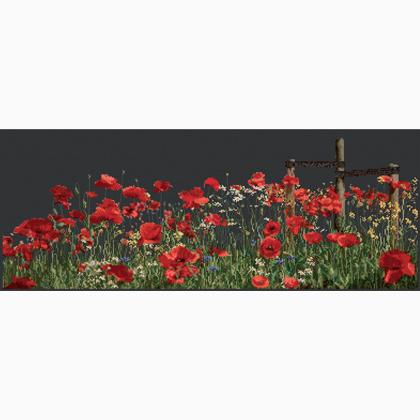 Poppies - Negro