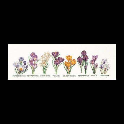 Crocus Panel - Aida