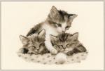 Gatitos